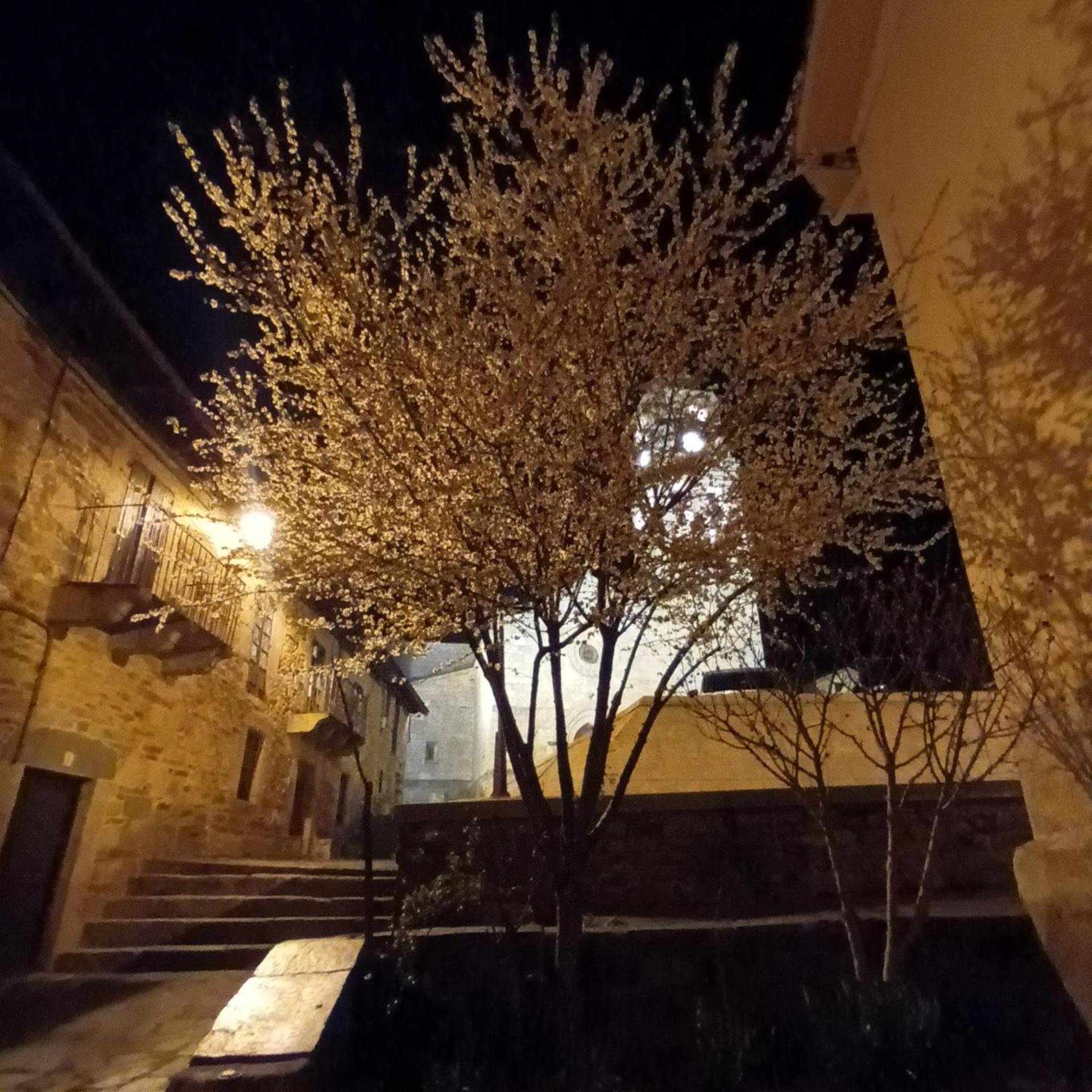 La Artesonada Casa Con Finca Villa Puebla de Sanabria Esterno foto
